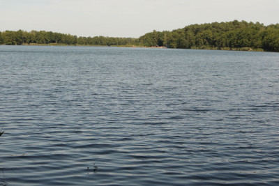 Na sprzedaż działka rekreacyjna - Lubowo -
wielkopolskie Zdjęcie nr 2