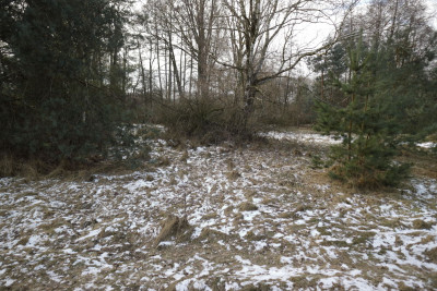 Na sprzedaż działka budowlana - Nekielka -
wielkopolskie Zdjęcie nr 7