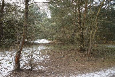 Na sprzedaż działka budowlana - Nekielka -
wielkopolskie Zdjęcie nr 8