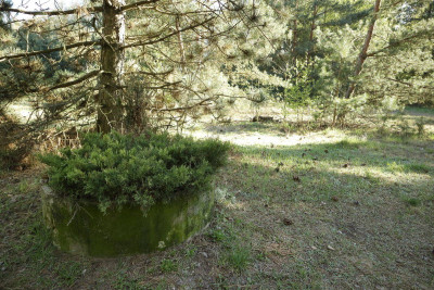 Na sprzedaż działka budowlana - Nekielka -
wielkopolskie Zdjęcie nr 6