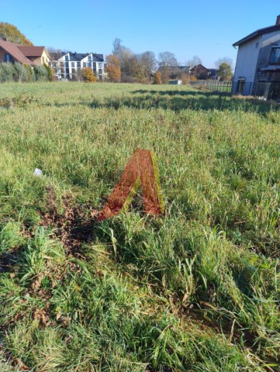 CICHE MIEJSCE  WEWNETRZNA DROGA ASFALTOWA - Rybitwy  -
Małopolskie Zdjęcie nr 5