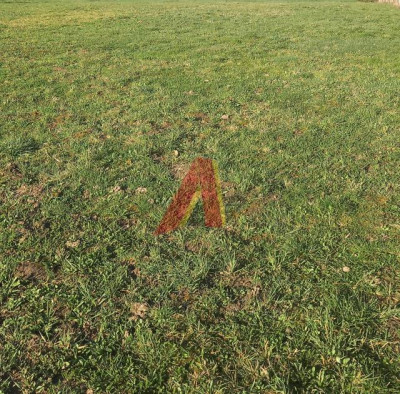 Park Bielański  działka około 30 arów - Tyniec  -
Małopolskie Zdjęcie nr 6