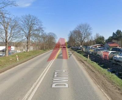 usłgowa w pobliżu Balic - Cholerzyn  -
Małopolskie Zdjęcie nr 2