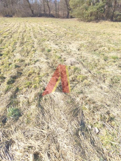 Działka szeroka ponad 21arowa - Bolechowice  -
Małopolskie Zdjęcie nr 11