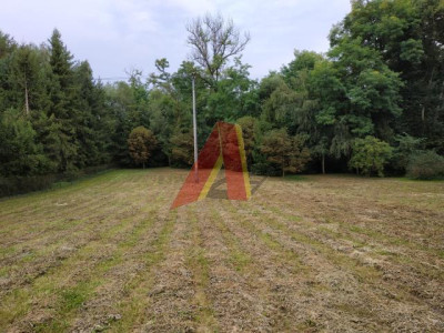 Działka szeroka ponad 21arowa - Bolechowice  - Małopolskie