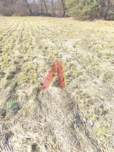 Działka szeroka ponad 21arowa - Bolechowice  -
Małopolskie Zdjęcie nr 8