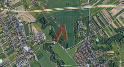 W OBECNYM PLANIE ROLNA - Witkowice  -
Małopolskie Zdjęcie nr 2