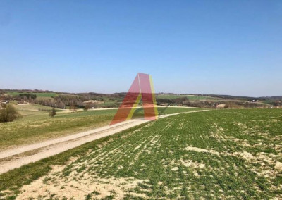 WIDOKOWA  ROLNA IDEALNA POD REKREACJĘ - Brzoskwinia  -
Małopolskie Zdjęcie nr 3