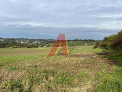 9 HEKTARÓW POD OSIEDLE PRAWIE 80 DOMÓW - Raciborsko  -
Małopolskie Zdjęcie nr 5