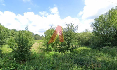 Cicha działka w otoczeniu nowej zabudowy - Lusina  -
Małopolskie Zdjęcie nr 8