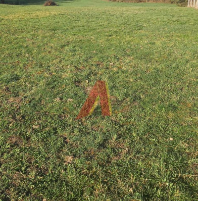 POD USŁUGI I MIESZKANIA - Gaj  -
Małopolskie Zdjęcie nr 5