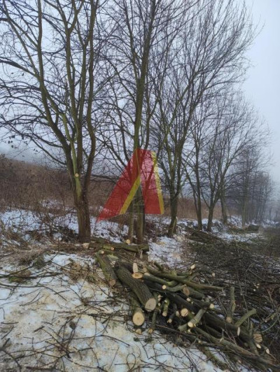 DZIAŁKA ZAGRODOWA DO ZABUDOWY PRZEZ ROLNIKA - Brzoskwinia  -
Małopolskie Zdjęcie nr 8