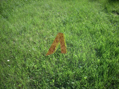 kilka domów z usługami - Skotniki  -
Małopolskie Zdjęcie nr 4