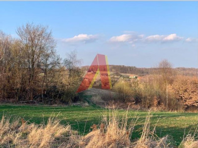PIĘKNA DZIAŁKA ROLNA - Burów  - Małopolskie