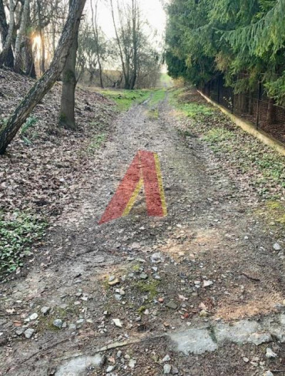 PIĘKNA DZIAŁKA ROLNA - Burów  -
Małopolskie Zdjęcie nr 4