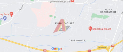 DZIAŁKA KLINY - Kliny  - Małopolskie