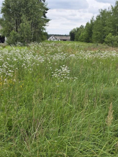Działka budowlana - Zendek  -
Śląskie Zdjęcie nr 4