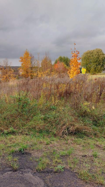 Działka budowlana - Psary  -
Śląskie Zdjęcie nr 8