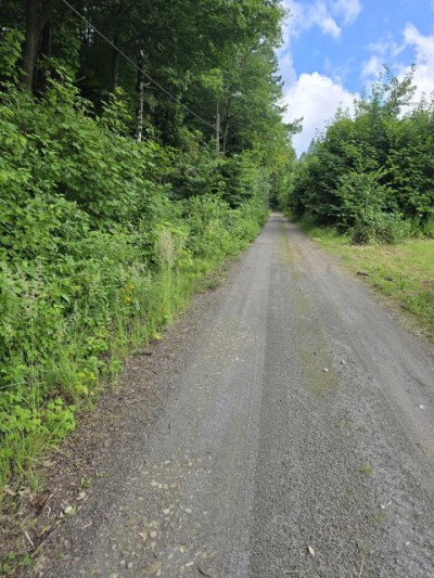 Działka rolno-budowlana - Łosień  -
Śląskie Zdjęcie nr 7