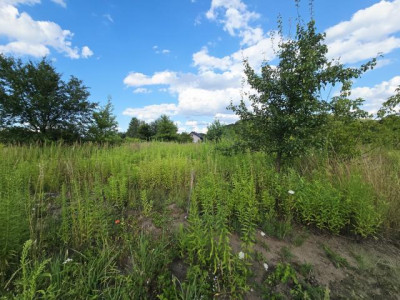 Działka budowlana - Wojkowice  -
Śląskie Zdjęcie nr 3