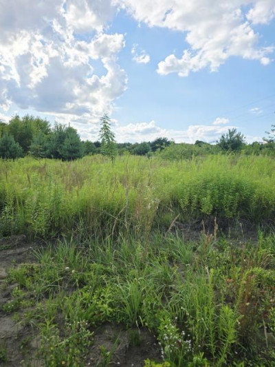 Działka budowlana - Wojkowice  -
Śląskie Zdjęcie nr 4