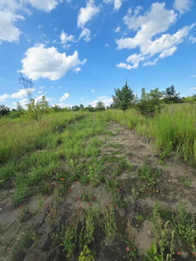 Działka budowlana - Wojkowice  -
Śląskie Zdjęcie nr 5