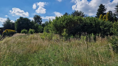 Działka budowlana - Rokitno Szlacheckie  -
Śląskie Zdjęcie nr 7