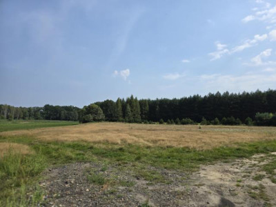 Działka budowlana - Ożarowice  - Śląskie