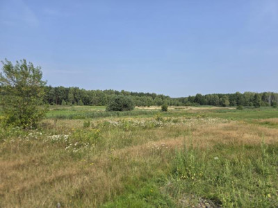 Działka budowlana - Ożarowice  -
Śląskie Zdjęcie nr 2