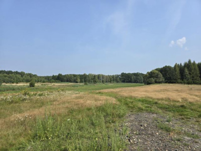 Działka budowlana - Ożarowice  -
Śląskie Zdjęcie nr 3