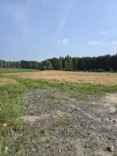 Działka budowlana - Ożarowice  -
Śląskie Zdjęcie nr 4