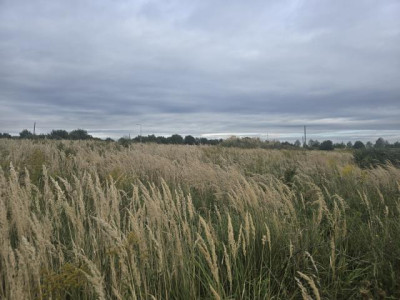 Działka budowlana - Poręba  -
Śląskie Zdjęcie nr 4