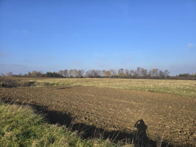 Działka rolno-budowlana - Góra Siewierska  -
Śląskie Zdjęcie nr 7