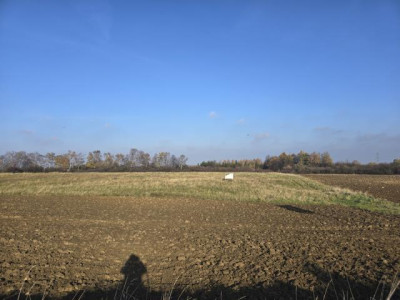 Działka rolno-budowlana - Góra Siewierska  -
Śląskie Zdjęcie nr 8