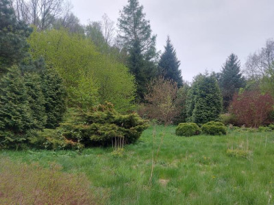 Działka budowlana - Ciągowice  -
Śląskie Zdjęcie nr 3