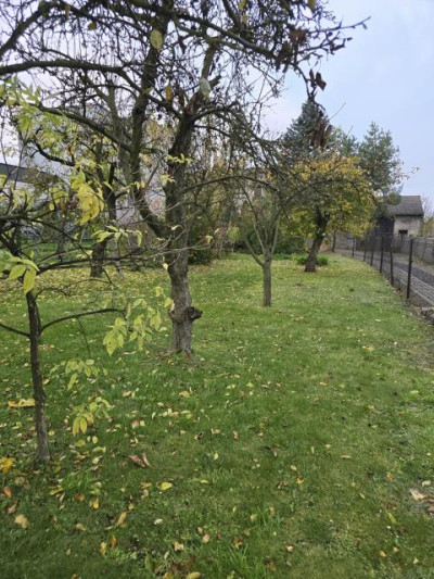 Działka budowlana - Rogoźnik  -
Śląskie Zdjęcie nr 5