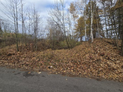 Działka budowlana - Brzękowice-Wał  -
Śląskie Zdjęcie nr 2