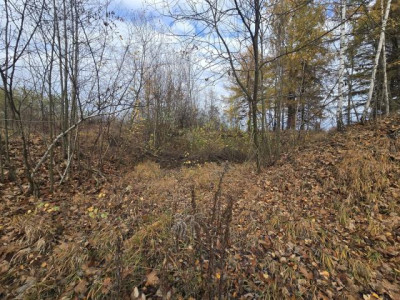 Działka budowlana - Brzękowice-Wał  -
Śląskie Zdjęcie nr 4