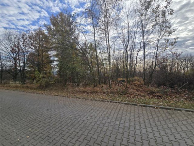 Działka budowlana - Brzękowice-Wał  -
Śląskie Zdjęcie nr 5