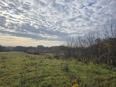 Działka rolno-budowlana - Goląsza  - Śląskie