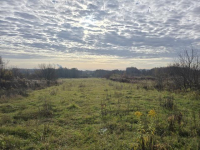 Działka rolno-budowlana - Goląsza  -
Śląskie Zdjęcie nr 4