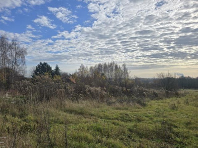 Działka rolno-budowlana - Goląsza  -
Śląskie Zdjęcie nr 5