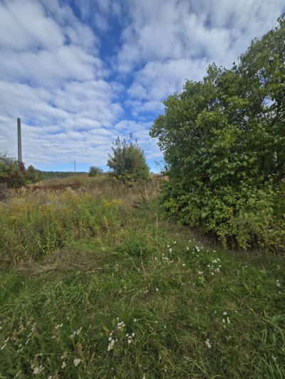 Działka rolno-budowlana - Strzyżowice  -
Śląskie Zdjęcie nr 4