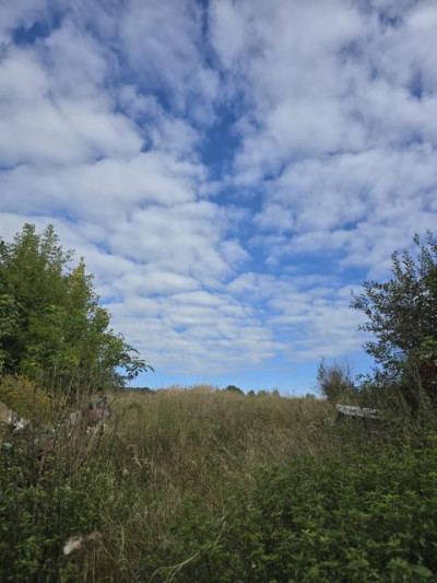 Działka rolno-budowlana - Strzyżowice  -
Śląskie Zdjęcie nr 5