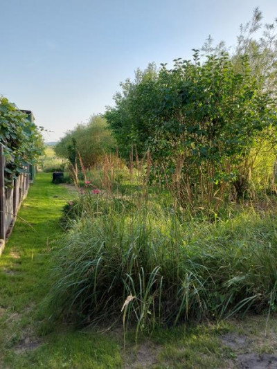 Działka rolno-budowlana - Psary  -
Śląskie Zdjęcie nr 2