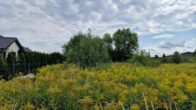 Działka budowlana - Grodków  -
Śląskie Zdjęcie nr 5