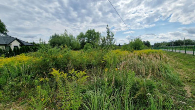 Działka budowlana - Grodków  -
Śląskie Zdjęcie nr 8