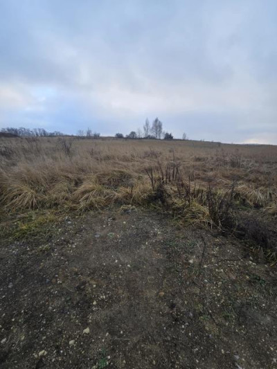 Działka rolno-budowlana - Psary  -
Śląskie Zdjęcie nr 7