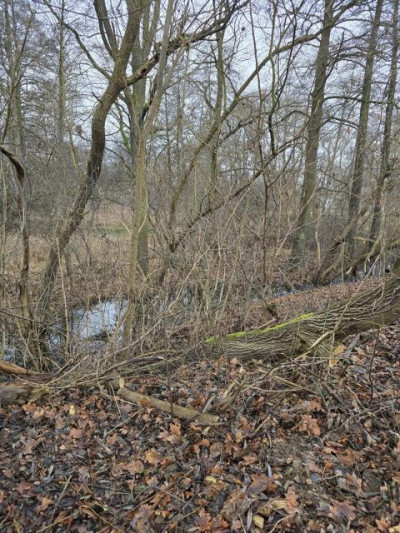 Działka budowlana - Będzin Łagisza  -
Śląskie Zdjęcie nr 13