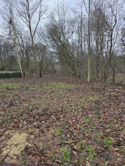 Działka budowlana - Będzin Łagisza  -
Śląskie Zdjęcie nr 2